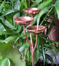 Copper Rain Catcher Garden Sculpture GWPsilver