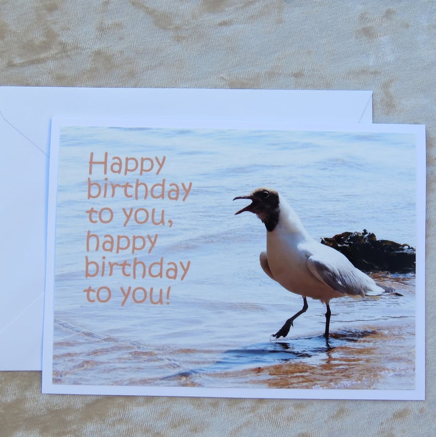 Happy Birthday.  A card featuring an original photograph.  Birthday card.