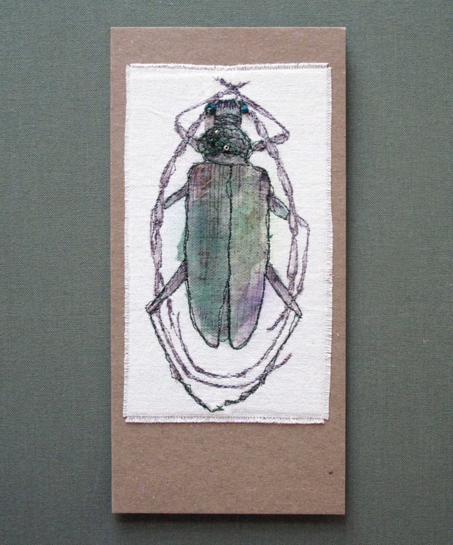 Unique Hand Made Beetle Card with Envelope