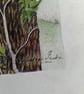 TWISTED IVY STEMS - Colour pencil drawing - Image 2