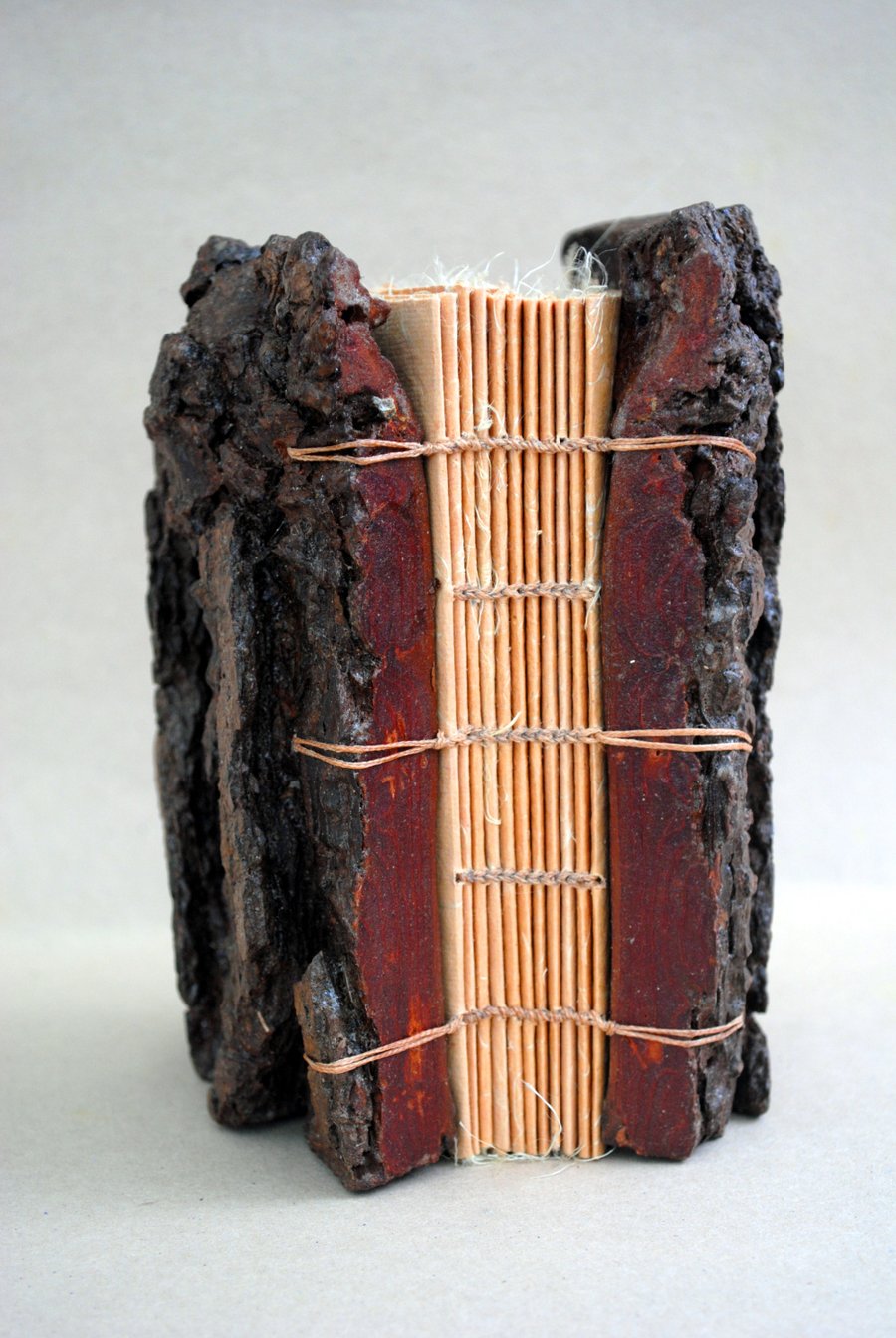Tree Bark Book I. Handbound made from Monterey Pine Bark covers and lokta paper.