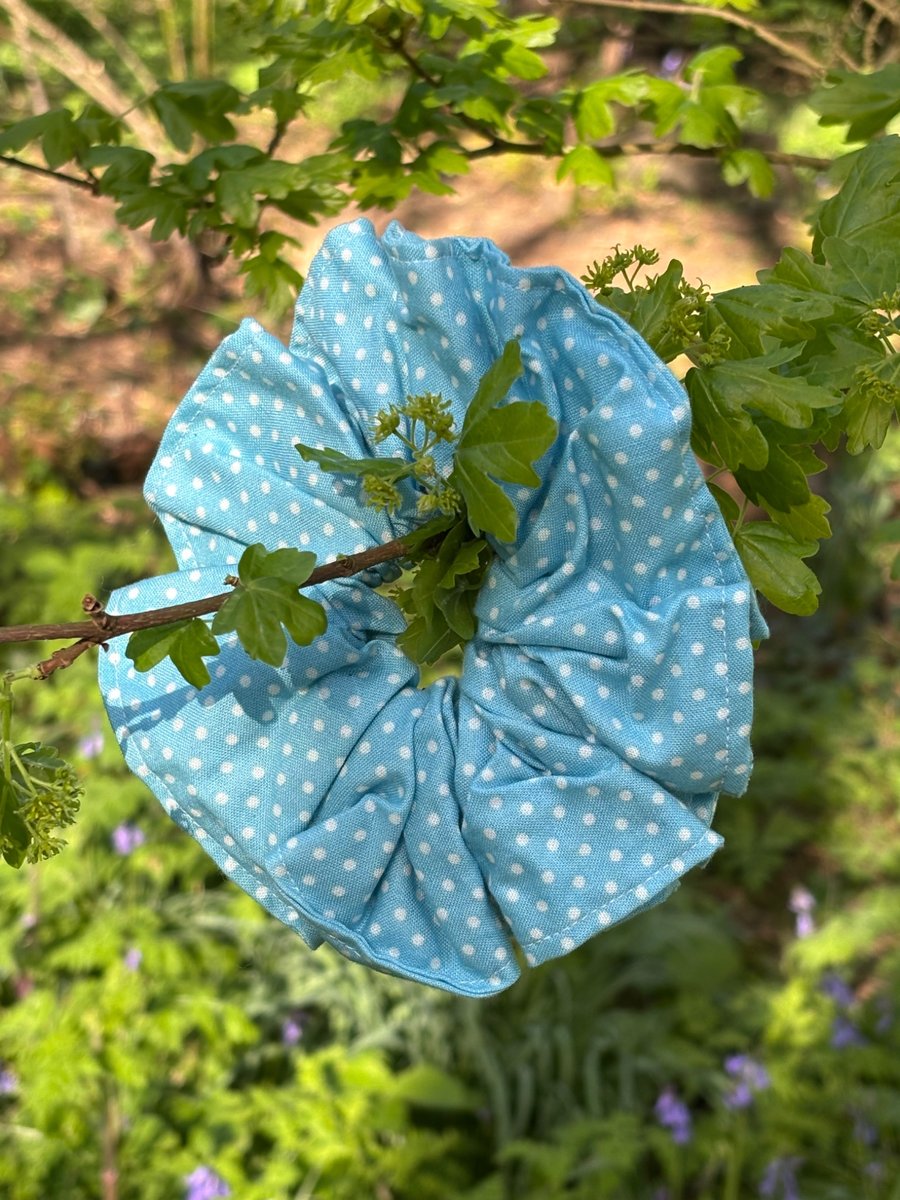 Pretty blue and white spotty scrunchies