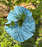 Pretty blue and white spotty scrunchies