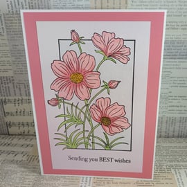 Cosmos flower birthday card