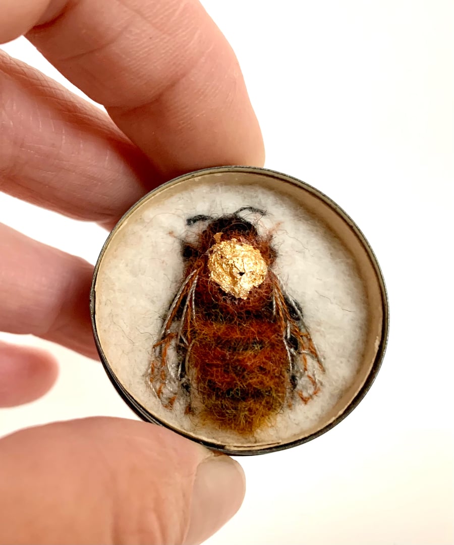 110b - Andrena fulva or Female Tawny Mining Bee - bee art