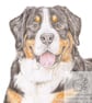 Loki the Bernese Mountain Dog - Keyring - Image 2