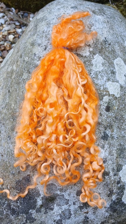 Apricot Wensleydale fleece, 10g