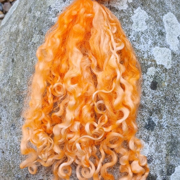 Apricot Wensleydale fleece, 10g