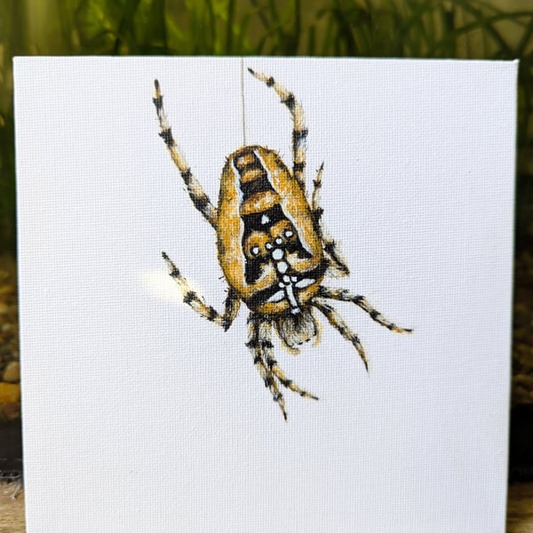 Crowned Orbweaver Spider Acrylic Painting 