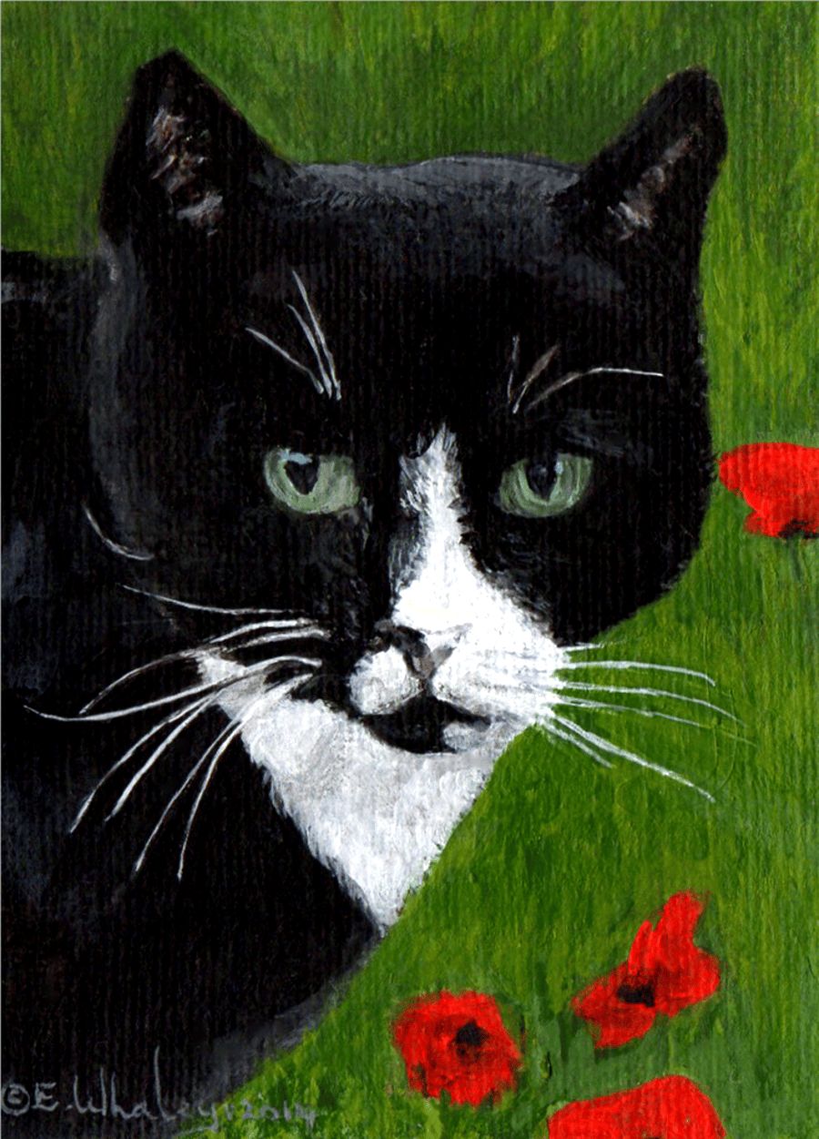 Original ACEO Black and White Cat Art Acrylic Painting
