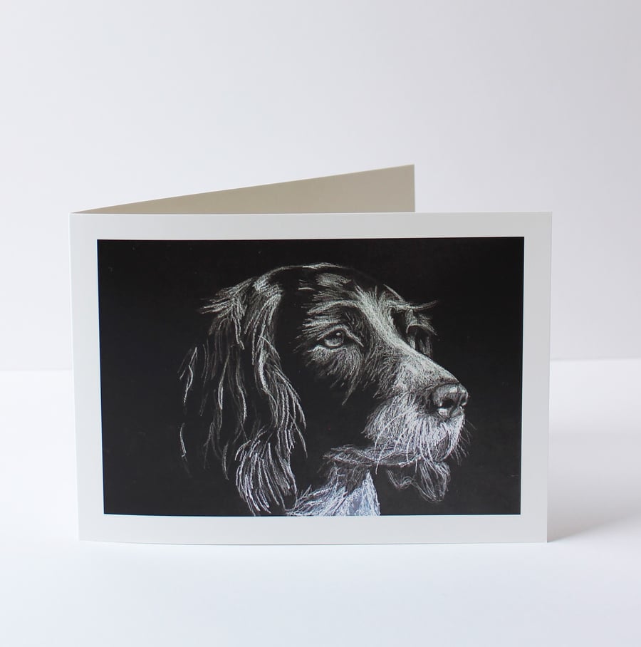 Spaniel Drawing Greetings Card 