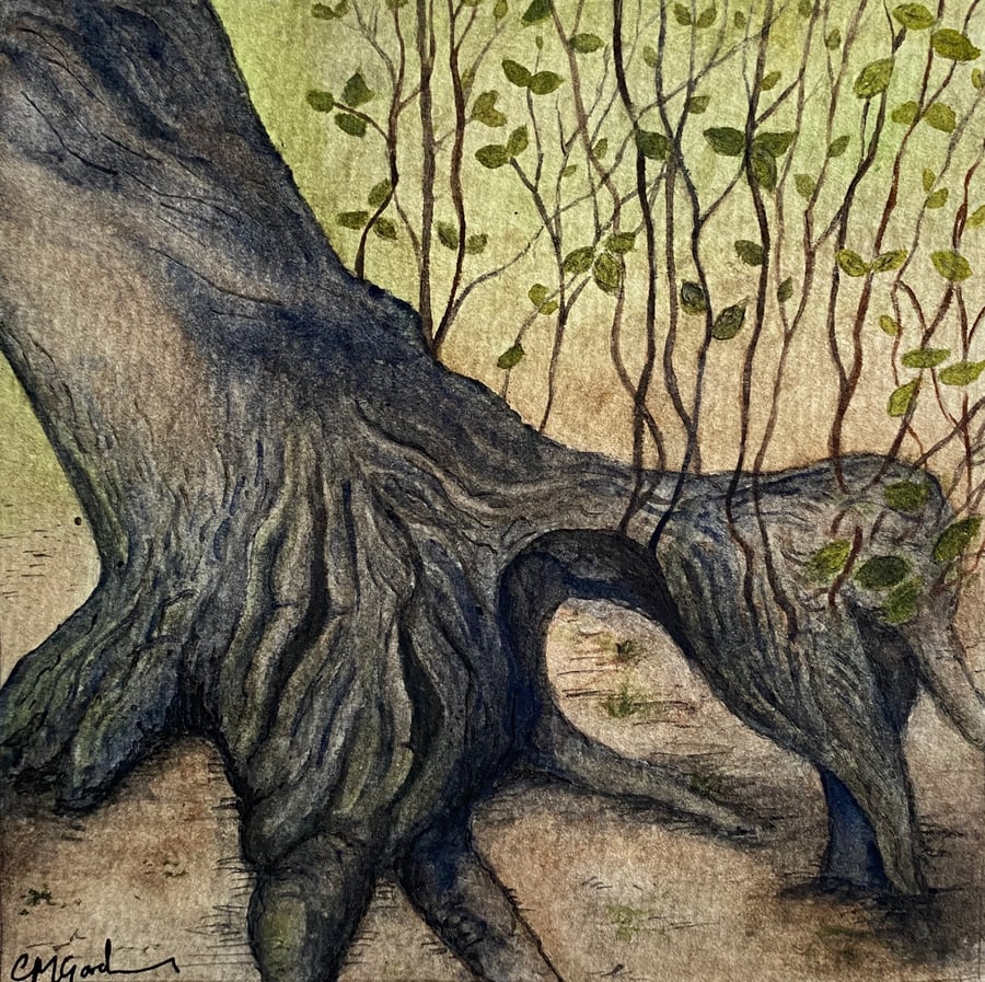 "Life Finds A Way On A Hornbeam" Fine Art Print in Mount Board 