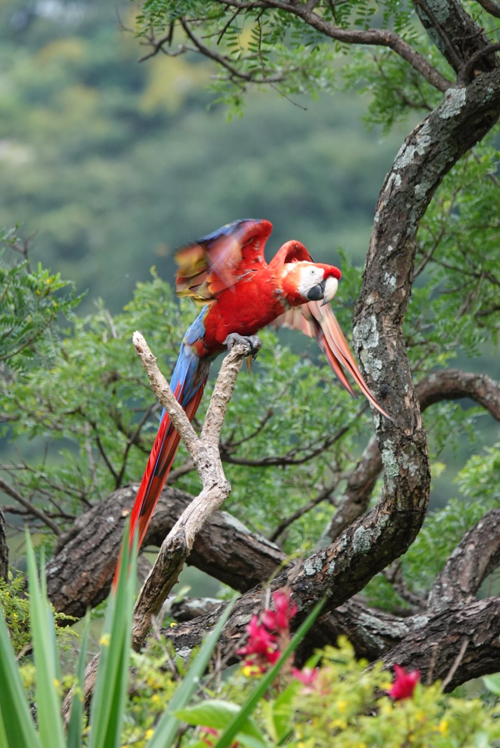 Sleekit Beasties Jewellery