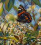 A5 Greeting Card Butterfly on Flower In The Garden 