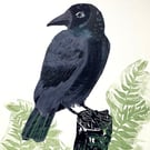 Black Crow - Lino Cut 