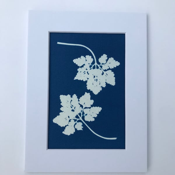 Caron, a sweet pair of leaves in a Cyanotype Original