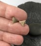 Gold triangle stud earrings 9ct hallmarked - Image 3
