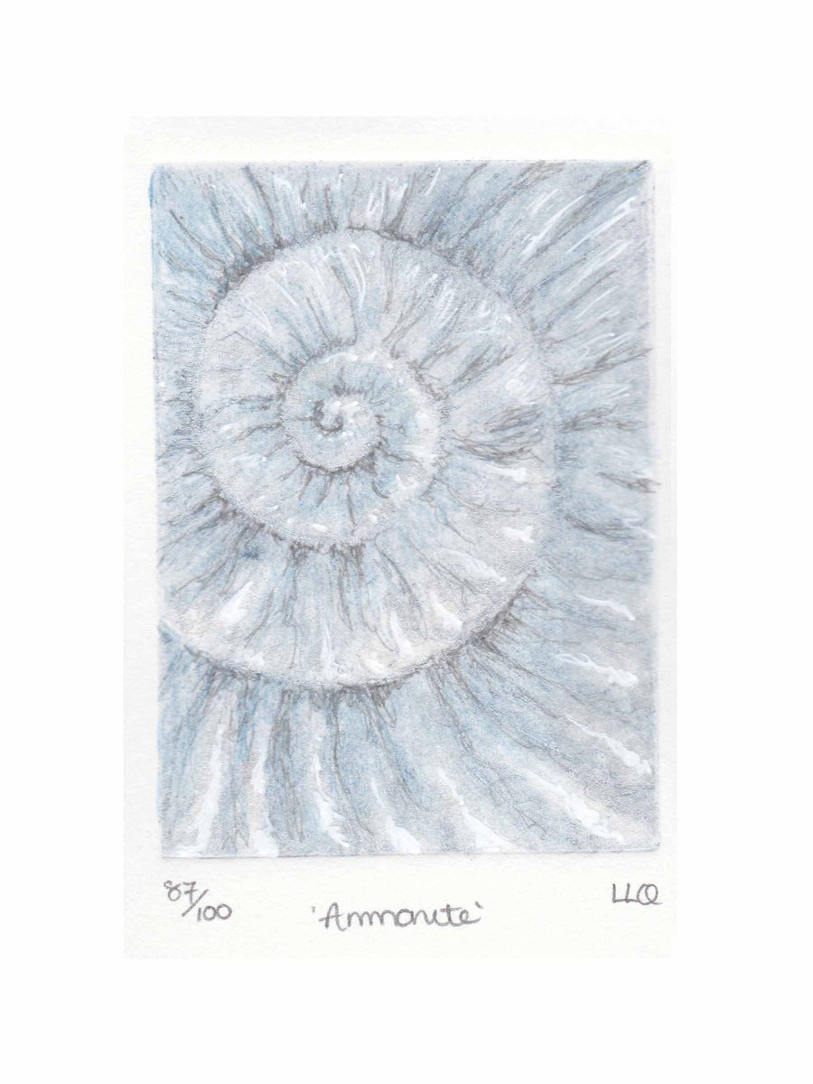 Etching no.87 of an ammonite fossil with mixed media in an edition of 100
