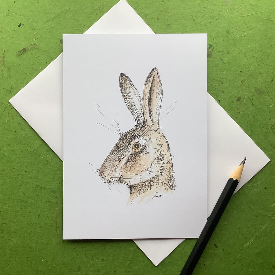 Surprised hare - greetings card. Blank inside.