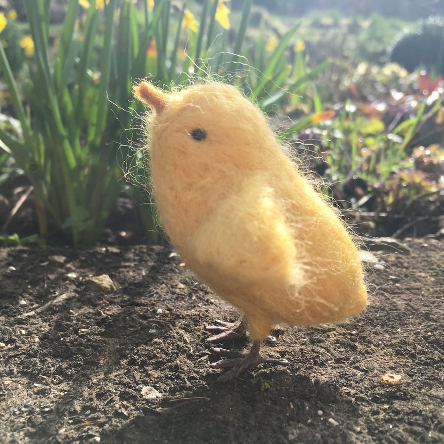  Needle felted chick, yellow chic, animal sculpture model