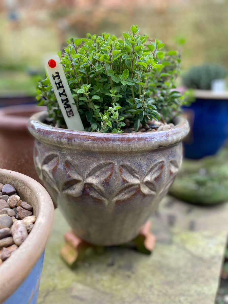 Plant labels for herbs - set of five. 