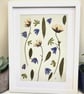 Framed Real Pressed Flower and Foliage Botanical Art - Image 2