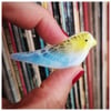 budgie brooch - fused glass 