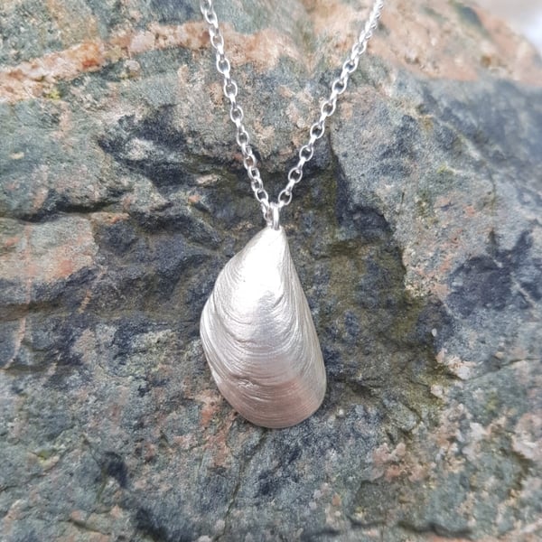 Mussel Shell Necklace.