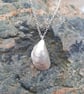 Mussel Shell Necklace. - Image 1