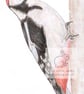 Woodpecker - Birthday Card - Image 2