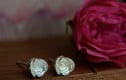 Rosebud