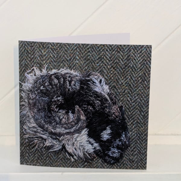 Harris Tweed Sheep Embroidery Art Greeting Cards