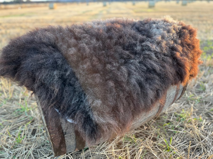 Wet Felted Fleece Rug