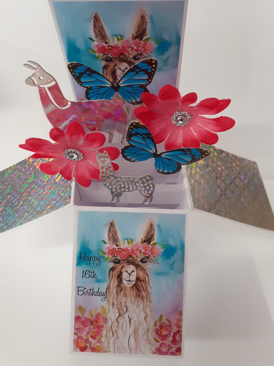 Ladies 16th Birthday Card with Lamas