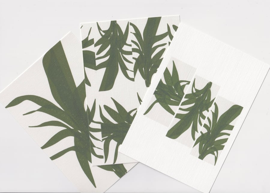 Postcard Set -3 Palm Leaf Mini Prints. A6 