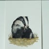 Watercolour sketch - Curious Badger