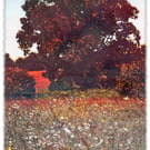 Yeovil Wall Art Set - 3 Prints 9x6 or 12x8 Countryside Local Scenes