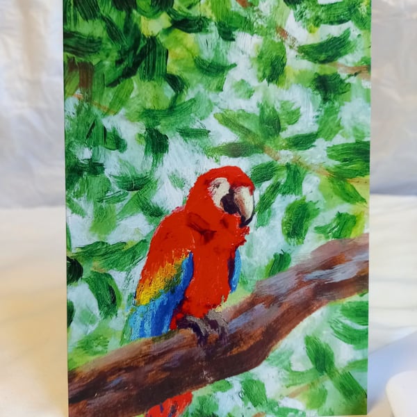 Percy the parrot - art greeting card