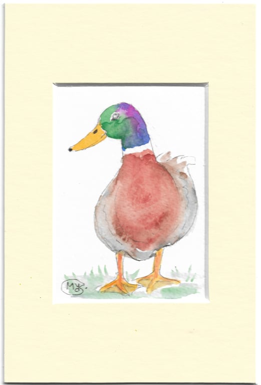 Mallard Duck Original Miniature painting ACEO. 