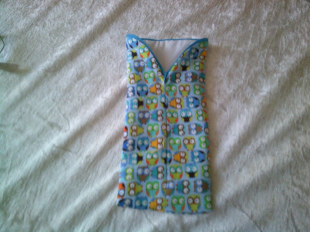 Colourful Little Owls Glasses Case