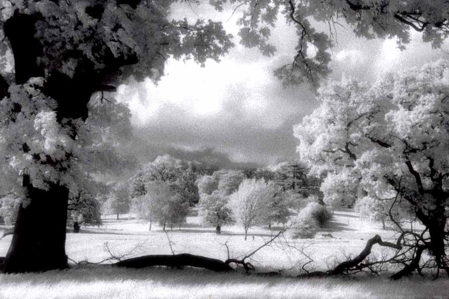Prospect Park Reading Berkshire England UK Photograph Print