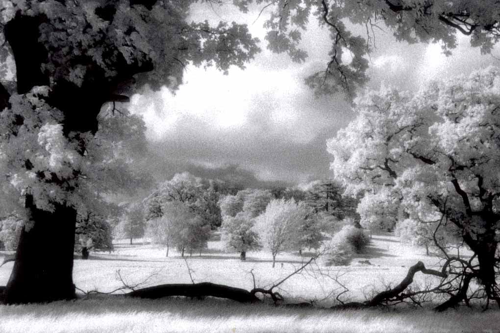 Prospect Park Reading Berkshire England UK Photograph Print