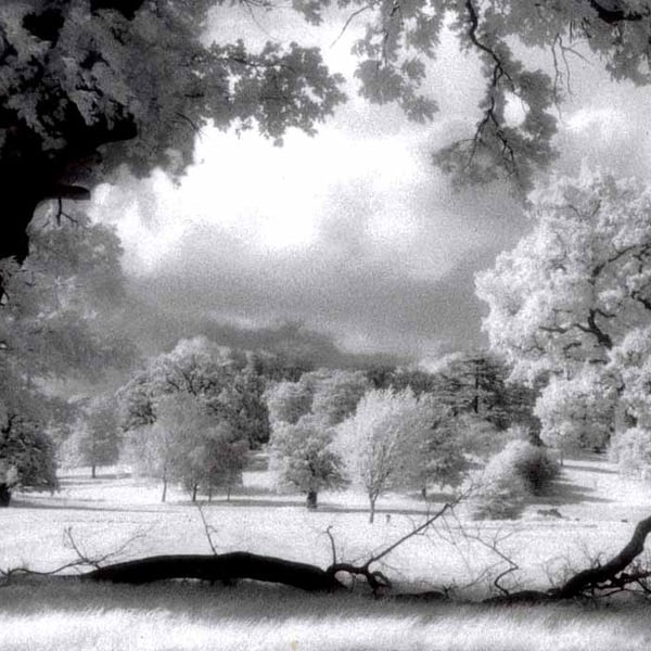Prospect Park Reading Berkshire England UK Photograph Print