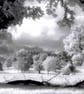 Prospect Park Reading Berkshire England UK Photograph Print