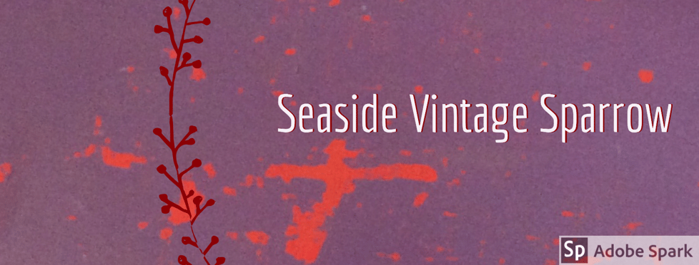 Seaside Vintage Sparrow