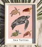 Sea Turtles Illustrated Scientific Art Print Pink - Image 1