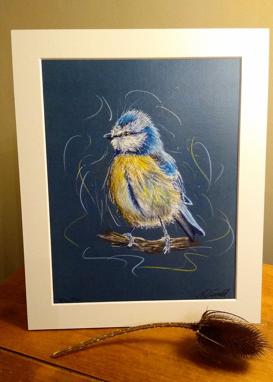 Blue Tit Print of an Original Drawing