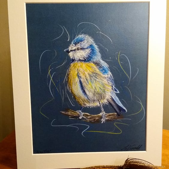 Blue Tit Print of an Original Drawing