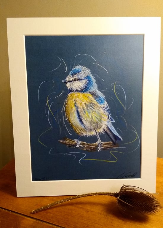Blue Tit Print of an Original Drawing