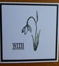 Sympathy Card - Snowdrop - Image 5
